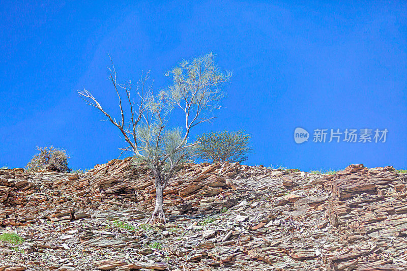 阿曼Al Hajar山的岩层